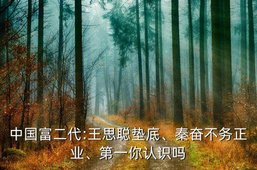 中國富二代:王思聰墊底、秦奮不務正業(yè)、第一你認識嗎