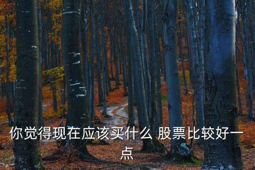 你覺得現(xiàn)在應(yīng)該買什么 股票比較好一點