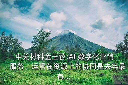  中關(guān)村科金王蓉:AI 數(shù)字化營(yíng)銷、服務(wù)、運(yùn)營(yíng)在資源上的協(xié)同是去年最有...