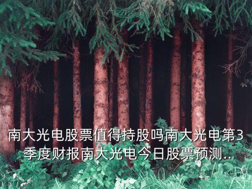 南大光電股票值得持股嗎南大光電第3 季度財報南大光電今日股票預(yù)測...