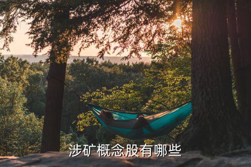 廣西田陽(yáng)中金金業(yè)有限公司生活區(qū)用地,田陽(yáng)中金金業(yè)有限公司拍賣