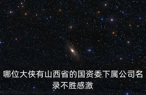 武安市國有資產(chǎn)經(jīng)營有限公司,杭州蕭山國有資產(chǎn)經(jīng)營集團有限公司