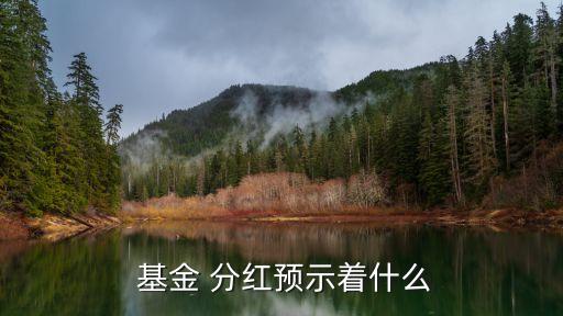  基金 分紅預示著什么