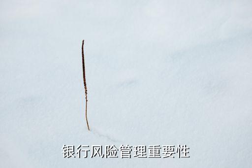 商業(yè)銀行監(jiān)管的意義,對(duì)商業(yè)銀行監(jiān)管的意義