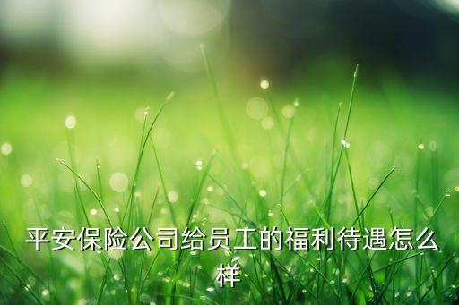  平安保險公司給員工的福利待遇怎么樣