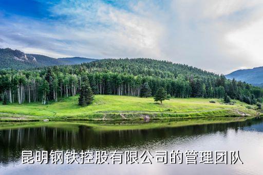 昆明鋼鐵控股有限公司的管理團(tuán)隊