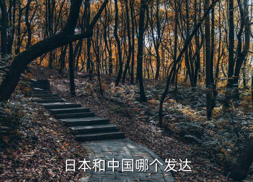  日本和中國哪個(gè)發(fā)達(dá)