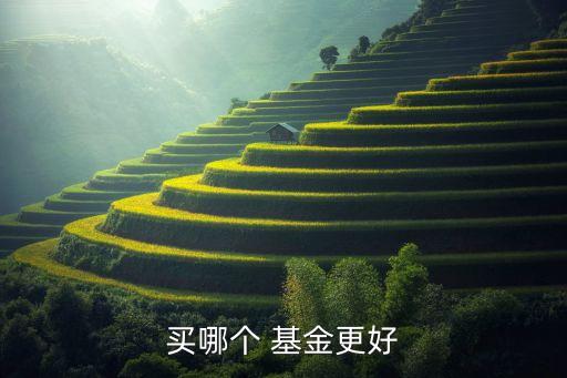 買哪個(gè) 基金更好