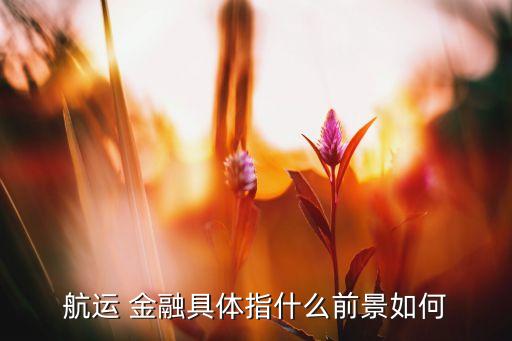 金融公司船舶專(zhuān)業(yè),專(zhuān)業(yè)消費(fèi)金融公司特點(diǎn)有( )