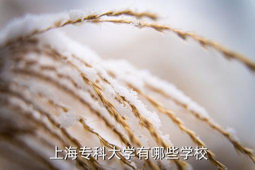  上海?？拼髮W(xué)有哪些學(xué)校