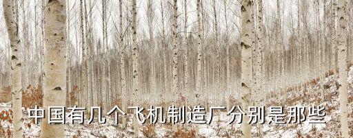 中國(guó)有幾個(gè)飛機(jī)制造廠分別是那些