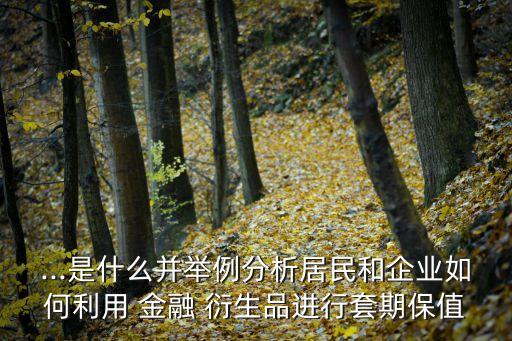 ...是什么并舉例分析居民和企業(yè)如何利用 金融 衍生品進行套期保值