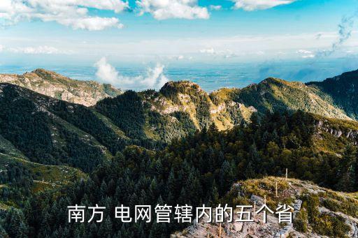 中國南方電網情報中心