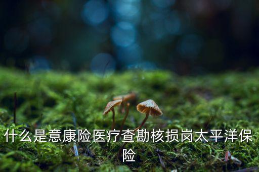 中國(guó)太保基礎(chǔ)設(shè)施債權(quán),基礎(chǔ)設(shè)施債權(quán)計(jì)劃