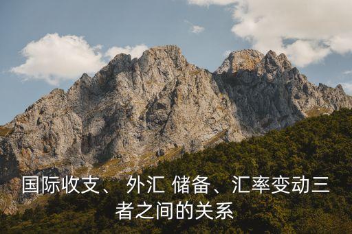 國(guó)際收支、 外匯 儲(chǔ)備、匯率變動(dòng)三者之間的關(guān)系
