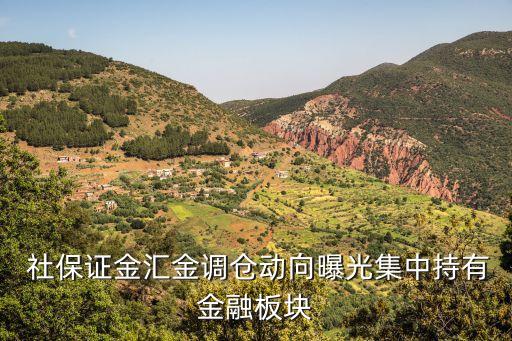全國社?；?01組合,社保基金101組合最新持股