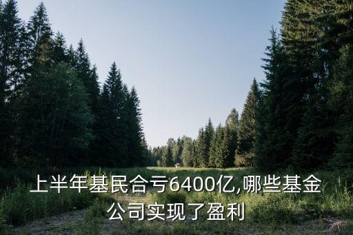 上半年基民合虧6400億,哪些基金公司實現了盈利
