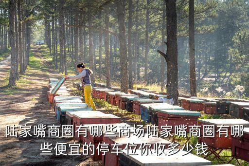 上海世紀盛薈廣場,上海陸家嘴世紀金融廣場