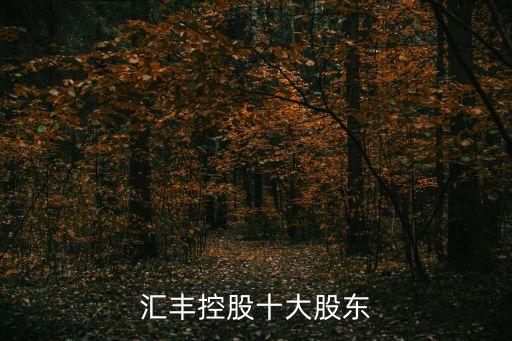 匯豐銀行上?？偛靠偨?jīng)理是誰,上海匯豐銀行總部好進(jìn)嗎