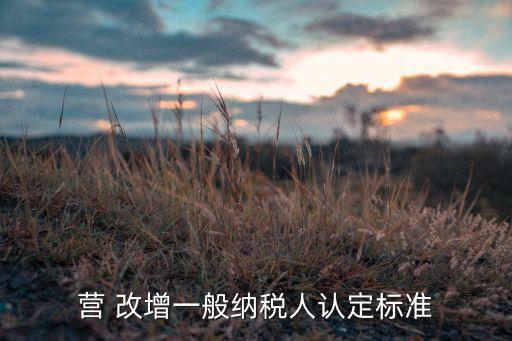 營 改增一般納稅人認(rèn)定標(biāo)準(zhǔn)