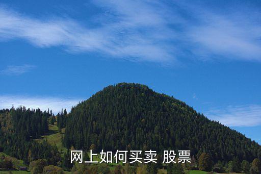 網(wǎng)上如何買(mǎi)賣(mài) 股票