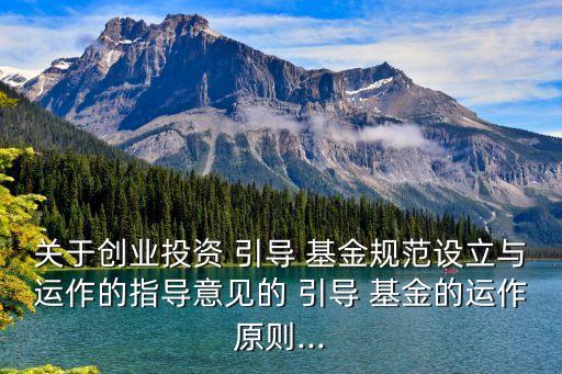 政府產(chǎn)業(yè)引導基金模式,政府設(shè)立產(chǎn)業(yè)引導基金的流程