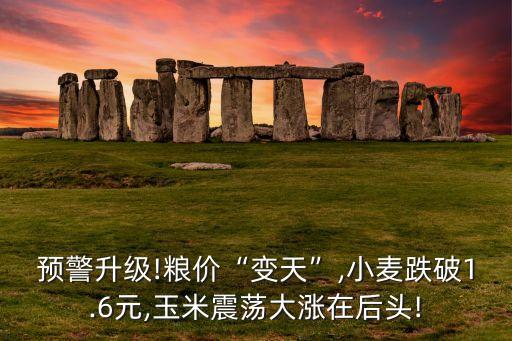 預(yù)警升級!糧價“變天”,小麥跌破1.6元,玉米震蕩大漲在后頭!
