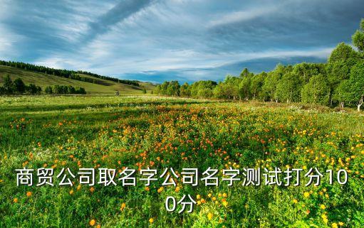 商貿(mào)公司取名字公司名字測試打分100分