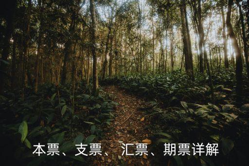  本票、支票、 匯票、期票詳解