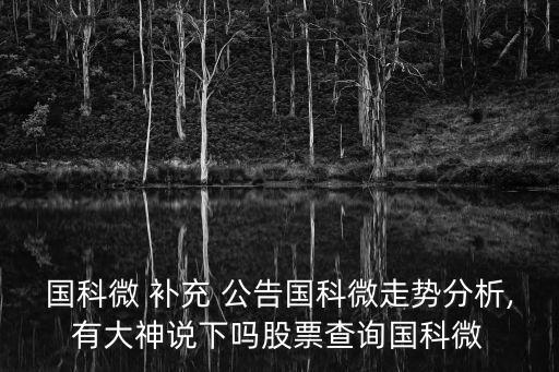 國(guó)科微 補(bǔ)充 公告國(guó)科微走勢(shì)分析,有大神說(shuō)下嗎股票查詢國(guó)科微
