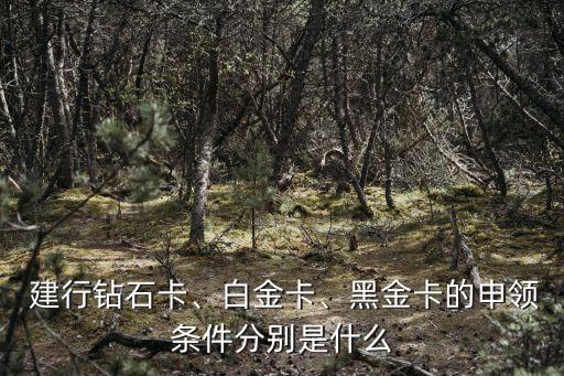 建行鉆石卡、白金卡、黑金卡的申領(lǐng)條件分別是什么