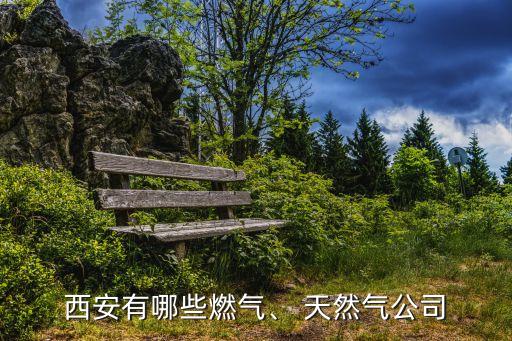 西安有哪些燃氣、 天然氣公司