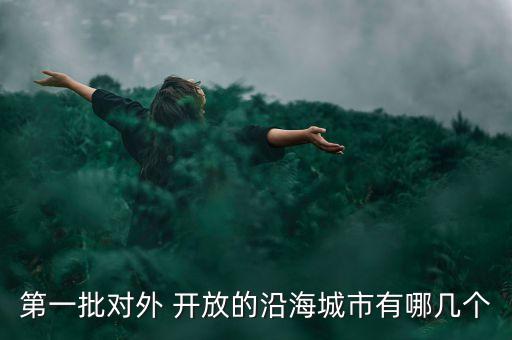 第一批對(duì)外 開放的沿海城市有哪幾個(gè)