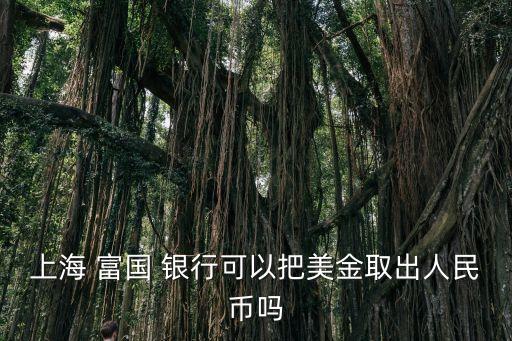 富國(guó)銀行業(yè)務(wù),巴菲特 富國(guó)銀行