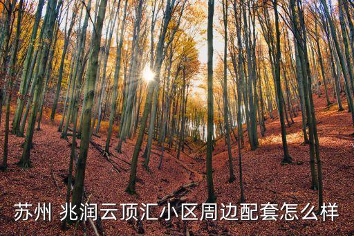 上海兆潤(rùn)信息