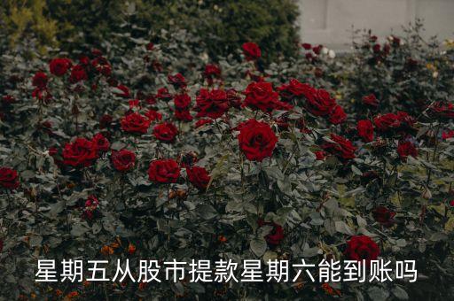 周五賣的股票周六能取錢嗎,周五把股票賣了,周六可以把錢轉(zhuǎn)出來(lái)嗎