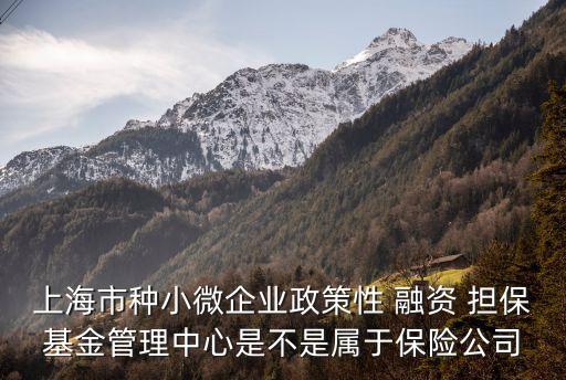 上海市種小微企業(yè)政策性 融資 擔(dān)?；鸸芾碇行氖遣皇菍儆诒ｋU(xiǎn)公司