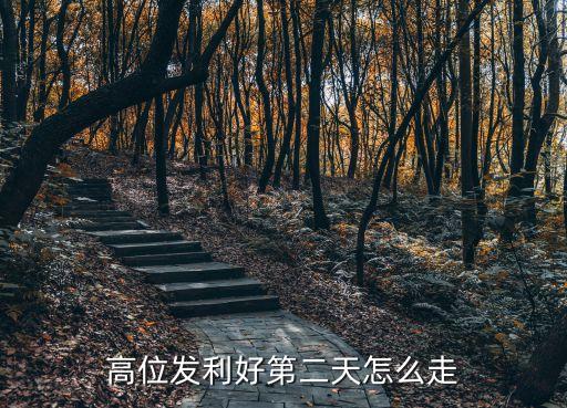 高開(kāi)高走的股票后續(xù),股票高開(kāi)高走意味著什么意思