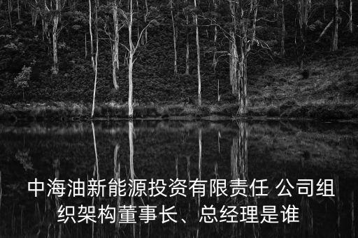  中海油新能源投資有限責任 公司組織架構(gòu)董事長、總經(jīng)理是誰