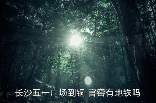 新華聯(lián)集團銅官窯