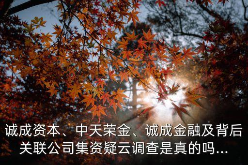 誠成資本、中天榮金、誠成金融及背后關(guān)聯(lián)公司集資疑云調(diào)查是真的嗎...
