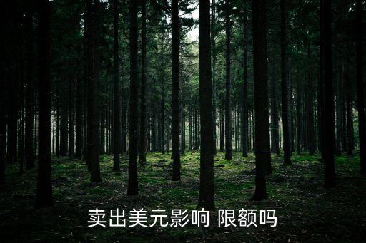 中國換匯限額,換匯限額是從什么時(shí)候開始算的