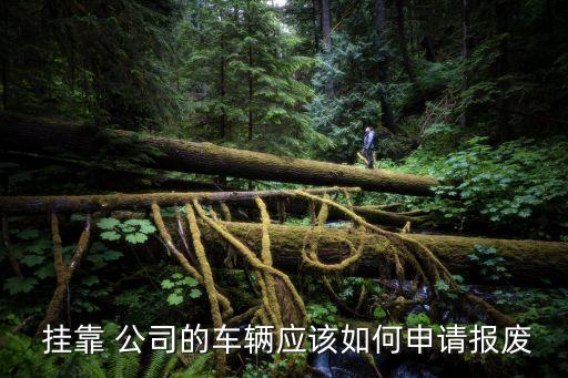 鳳陽汽車掛靠公司轉讓