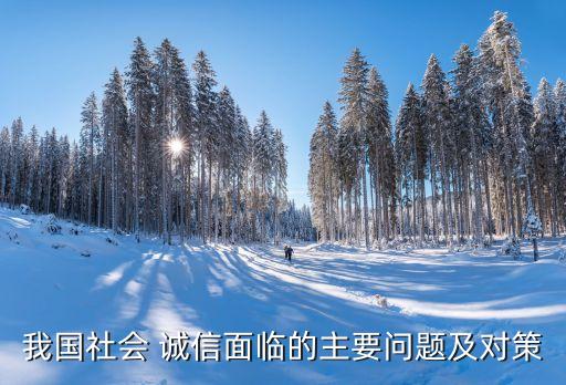 我國社會(huì) 誠信面臨的主要問題及對策