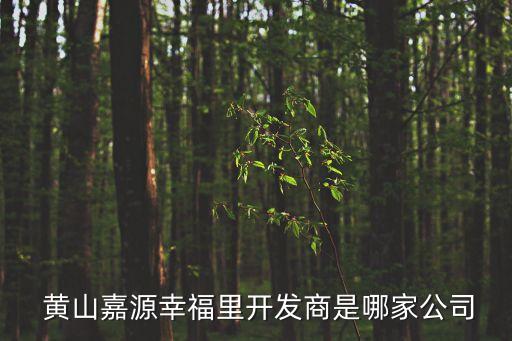  黃山嘉源幸福里開發(fā)商是哪家公司