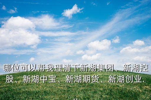 哪位可以幫我理清下新湖集團、新湖控股、新湖中寶、新湖期貨、新湖創(chuàng)業(yè)...