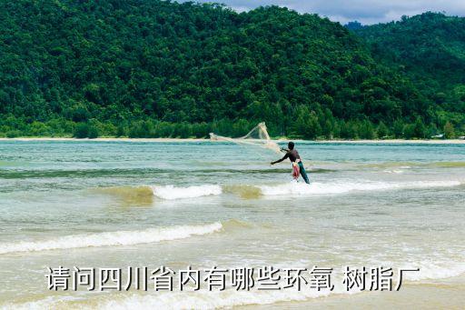 請問四川省內有哪些環(huán)氧 樹脂廠