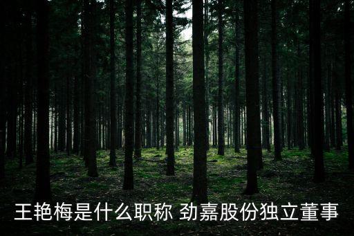 王艷梅是什么職稱(chēng) 勁嘉股份獨(dú)立董事