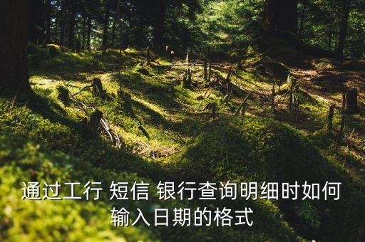通過(guò)工行 短信 銀行查詢(xún)明細(xì)時(shí)如何輸入日期的格式