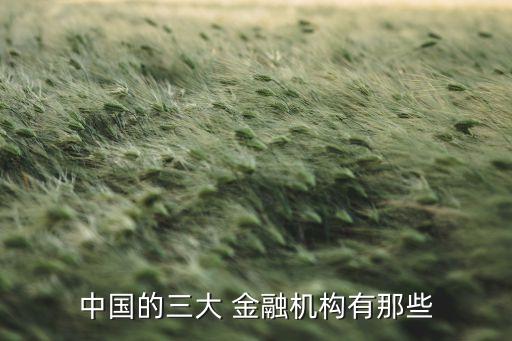 國內金融集團,國內三大金融集團是哪三個